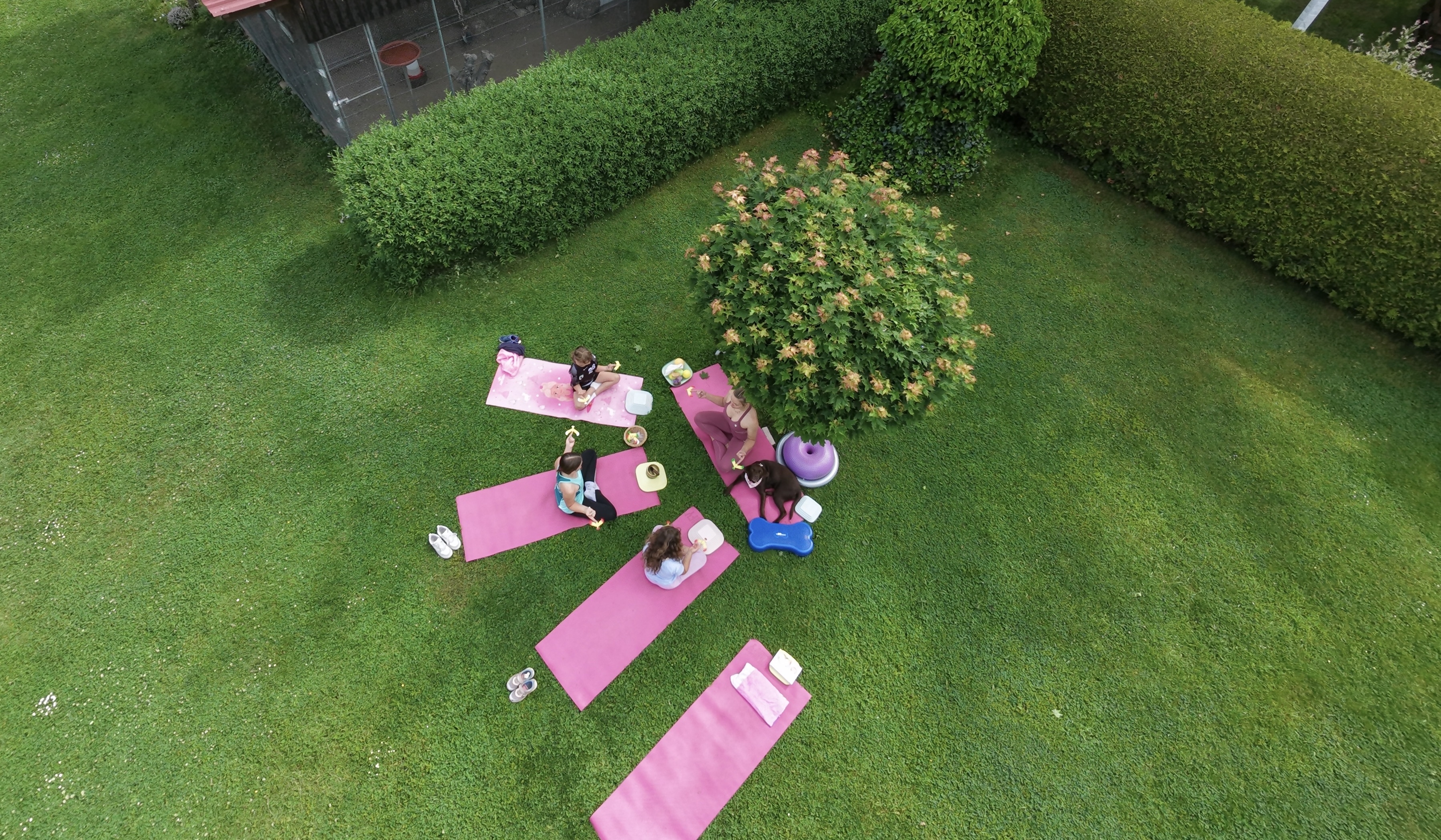 Kinder-Yoga auf dem Obsthof